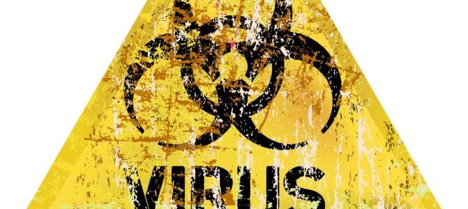 Virus