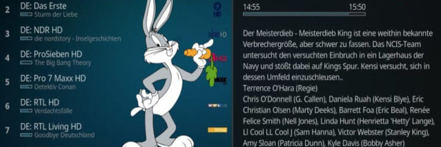EPG im Eigenbau