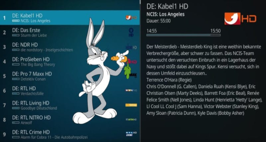 EPG im Eigenbau