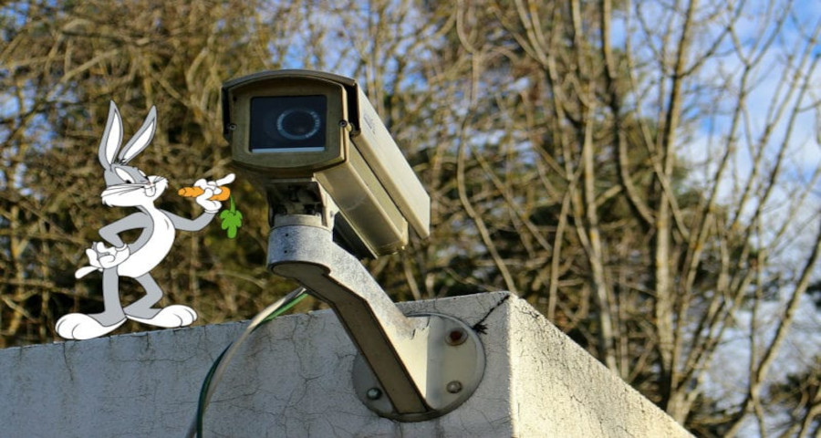 Handy als Überwachungskamera