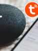 Tuya Home Assistant