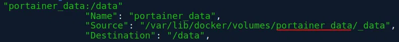 Portainer Update - Portainer inspect